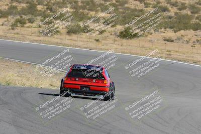 media/Nov-03-2023-Club Racer Events (Fri) [[fd9eff64e3]]/Red/Back Shots/